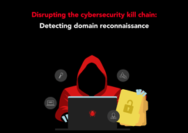 icon-wp-detect-domain-recon-guide