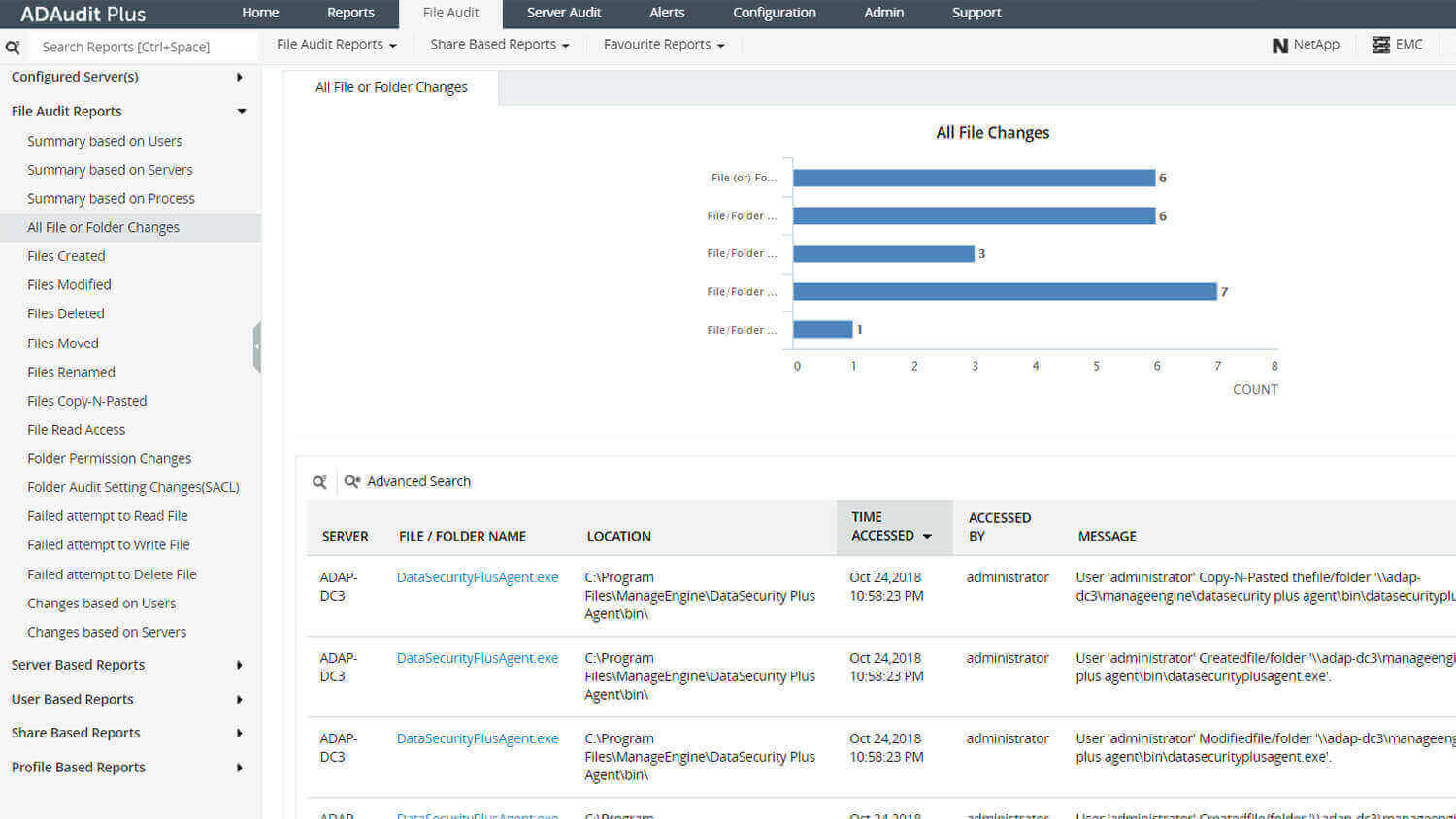 file audit report