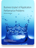 Business Impact of Application Performance Problems