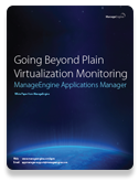 Going Beyond Plain Virtualization Monitoring