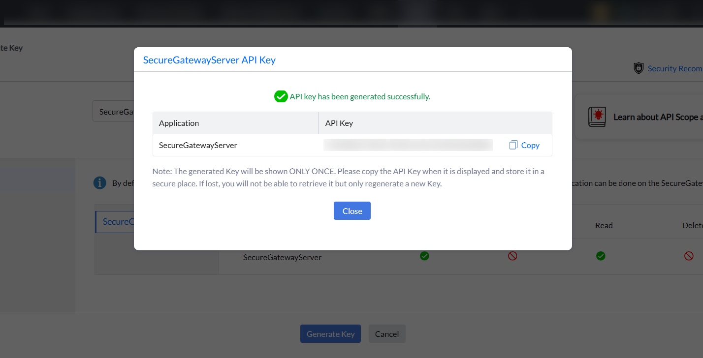 Copy Generated API key