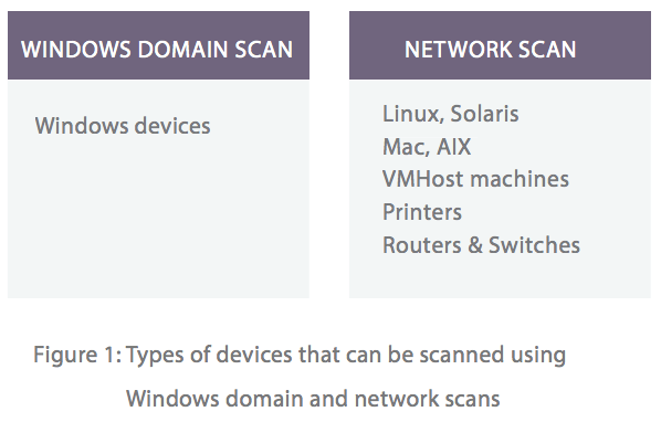 Network asset management system